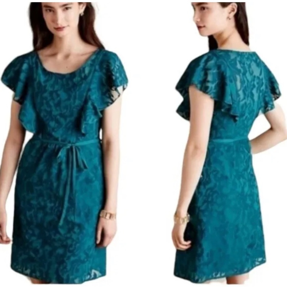 Moulinette Soeurs Anthropologie flutter sleeve dress